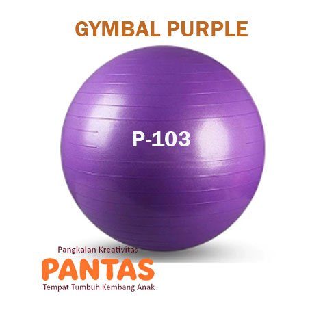 Gymball